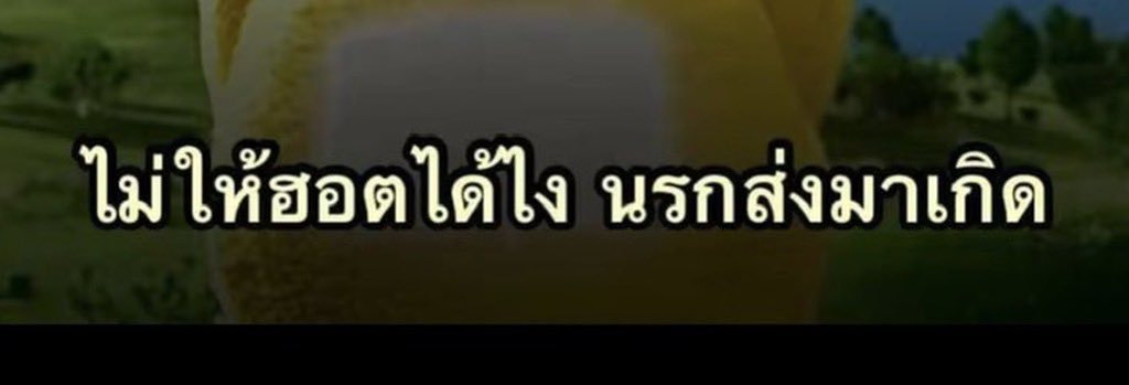 Dinn_STCH's tweet photo. https://t.co/vDGOa9fD8O