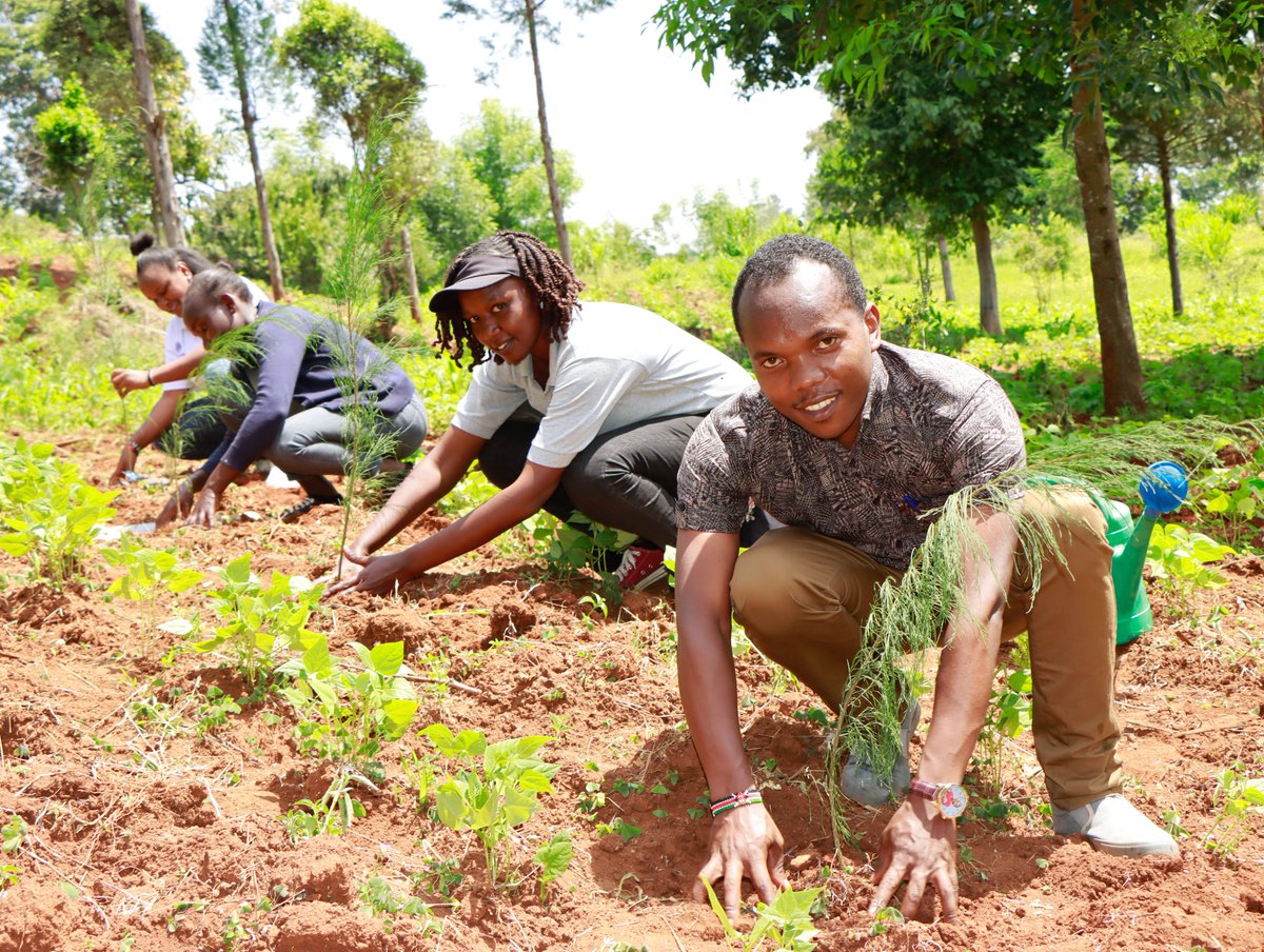 Today, the Laikipia Wildlife Forum, with support from Terrafund for AFR100 and our dedicated partners, planted 5,000 trees along the upstream of the Likii River near the KDF Bridge.