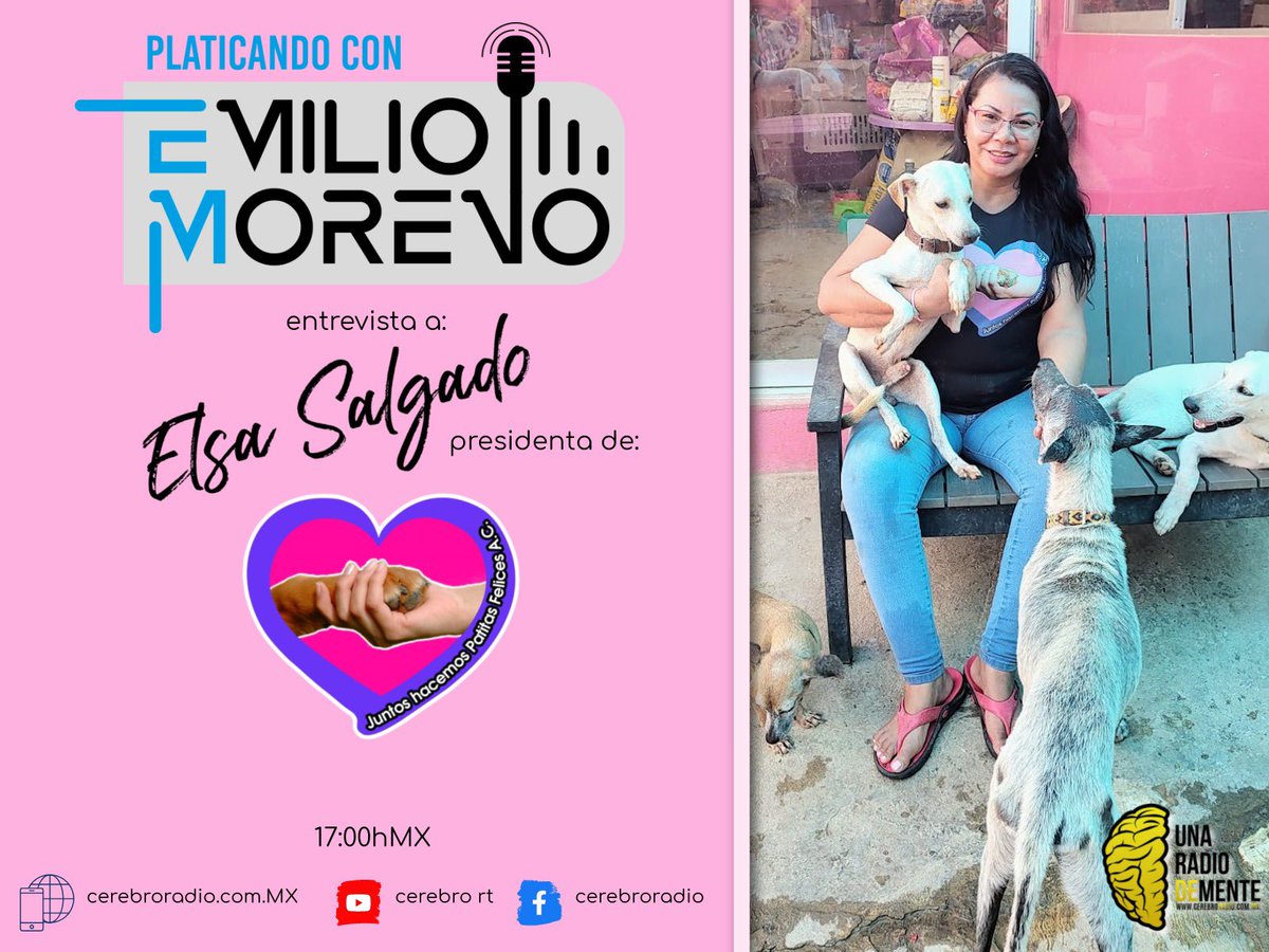 CerebroRT's tweet photo. Hoy, en el miércoles de entrevistas tenemos como invitada a nuestra amiga Elsa Salgado, presidenta de Patitas Felices Acapulco. Ya lo saben, #PlaticandoCon @EmilioML 17:00hMX en https://t.co/88avnpBUgA https://t.co/245nvX41pD