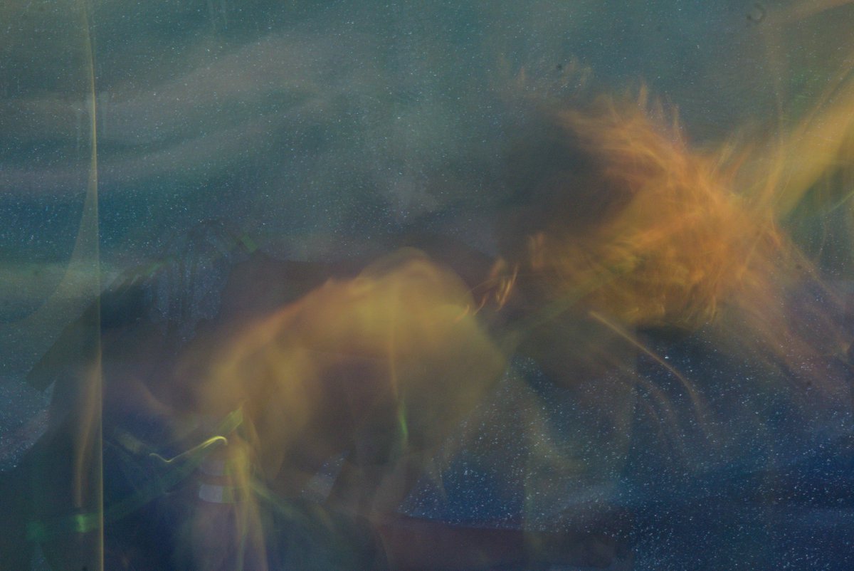 "La nebulosa"☄️✨🌠
31/05/24
Tomada en el show de Unperro Andaluz 🎷🐕
Por: Ojo de Tortuga 🐢 
instagram.com/ojo_de_tortuga…