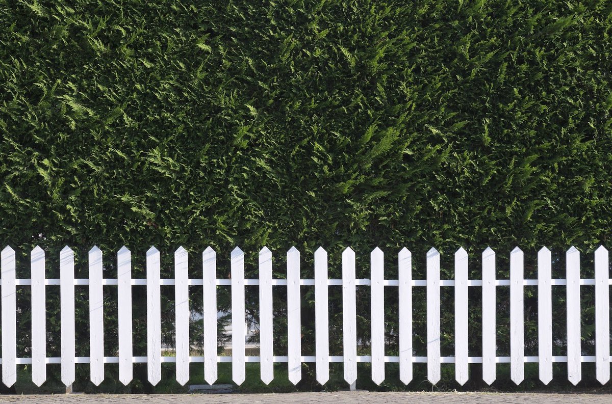 dbuildingsupply's tweet photo. 🏢 Contractors, listen up! Diamond Building Supply is situated centrally between Moberly and Columbia, MO. Swing by now to replenish your supplies and resume your projects promptly. Discover our wide range of fencing materials, portable buildings, and other essentials. https://t.co/nhJGIKB3Rd
