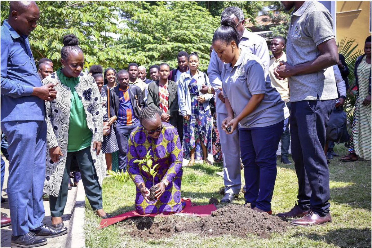 GwakiPrince's tweet photo. Today (World Environment Day), I was honored to present on PHE Integration in Land Restoration in front of Arumeru’s District Commissioner, Local Government authorities, National Environmental Management Council and other stakeholders in Arusha region.
@Afidep #BUILDProject https://t.co/yhdOJDRy71