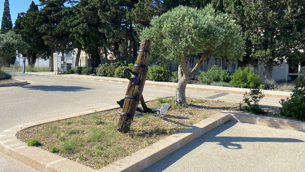 CatherineTrevet's tweet photo. ☀️⚓️Visite sous le beau soleil de Port-la-Nouvelle pour échanger avec la Société d’Economie Mixte à Opération Unique #SEMOP sur les futurs enjeux de développement du site.
💪@SNCFReseau @Occitanie s'engage auprès des partenaires pour contribuer au schéma directeur. https://t.co/4rBCFlHy4O