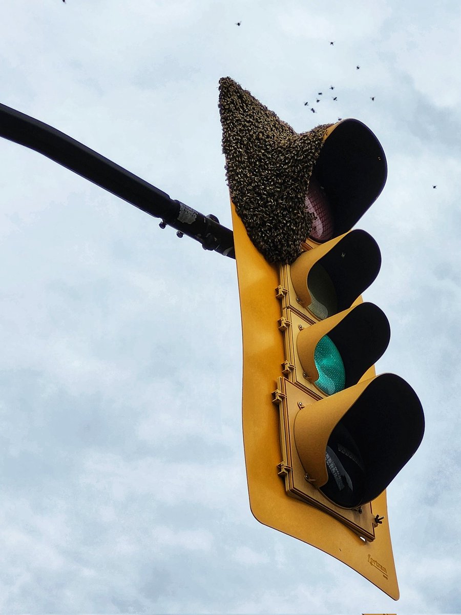 Vic Gedris tweet media