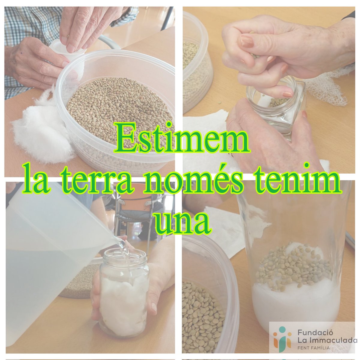 F_Immaculada's tweet photo. DIA MUNDIAL DEL MEDI AMBIENT 🌱 
FEINA DE TOTS

#mediambient #medioambientelimpio #cambiclimàtic #feinadetots #reciclem #recicla #residencia #gentgran #activitats #actualitat #perells #pertots #mdv #fentfamilia #fempoble https://t.co/D257RFIBEy