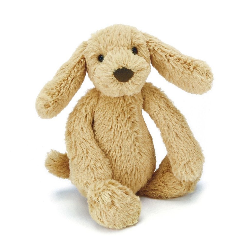 9Coyne's tweet photo. @dog_rates It’s the live version of a @jellycatlondon https://t.co/d22NnyvgOb