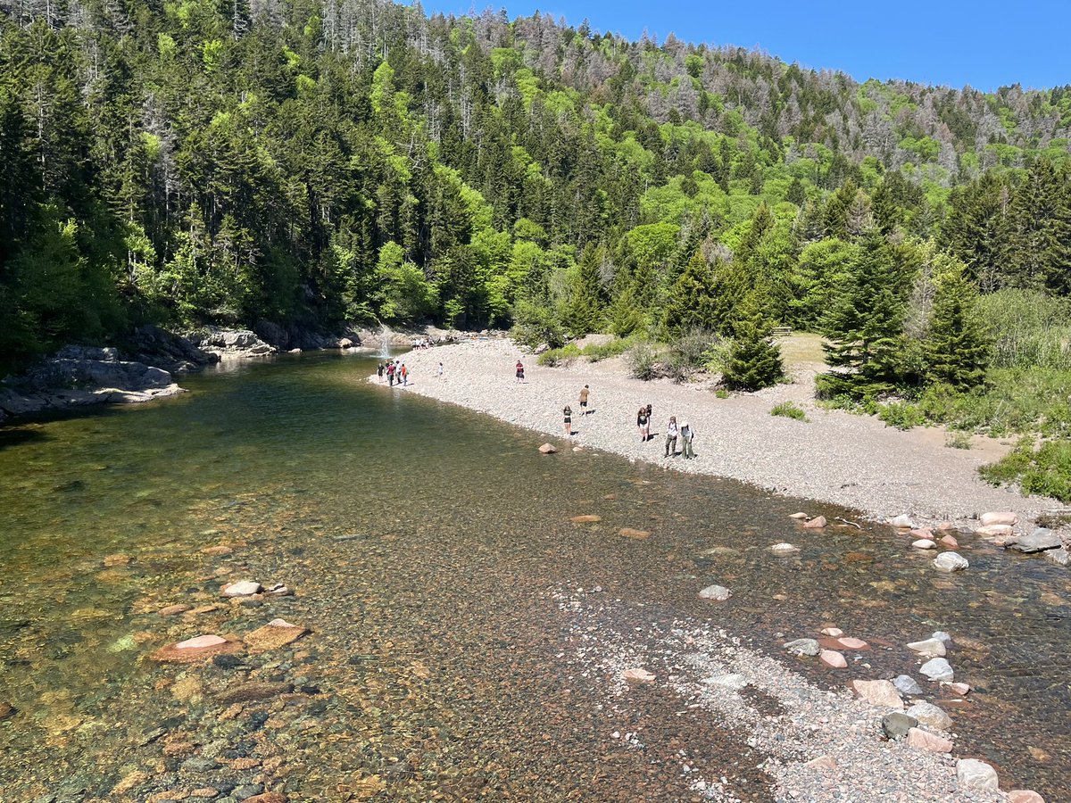 STM_Super_Saint's tweet photo. Todays #APNatureEd lesson with Seminar and Culture Club students to love and protect New Brunswick’s land, air, and ocean was a resounding success! @cgeducation https://t.co/XqexFNffgQ