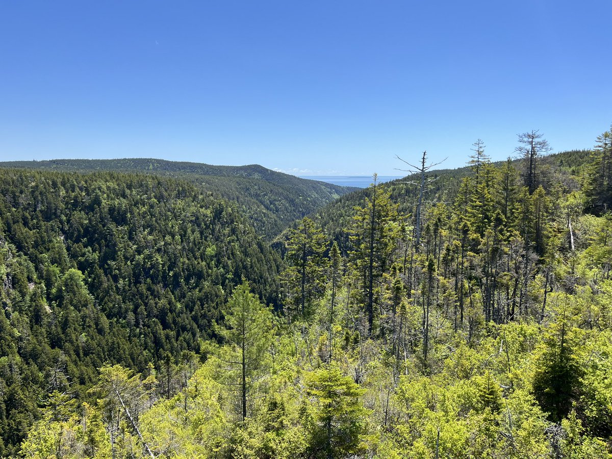 STM_Super_Saint's tweet photo. Todays #APNatureEd lesson with Seminar and Culture Club students to love and protect New Brunswick’s land, air, and ocean was a resounding success! @cgeducation https://t.co/XqexFNffgQ