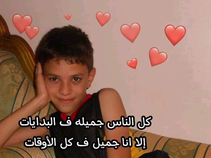 المتنبي. tweet media