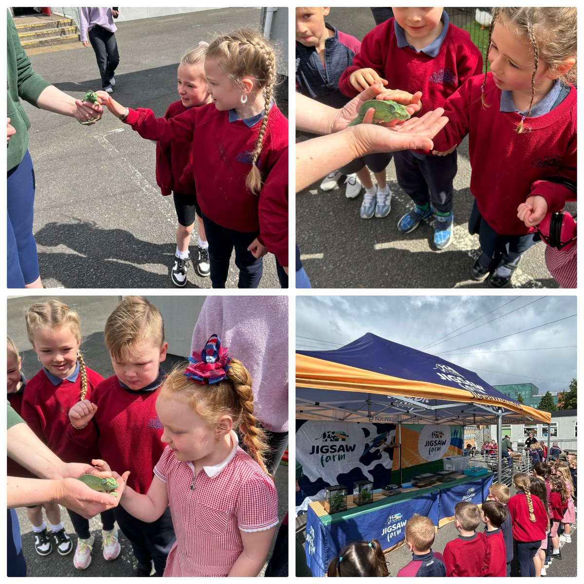 Lá iontach eile againn mar chuid de Sheachtain Chothaithe s'againne.
Another super day as part of our #NurtureWeek celebrations. 
Thug gach rang ó bhun go barr na scoile cuairt ar an zú peataireacht.
Every class visited the petting zoo at school today. <a href="/nurtureuktweets/">nurtureuk</a>