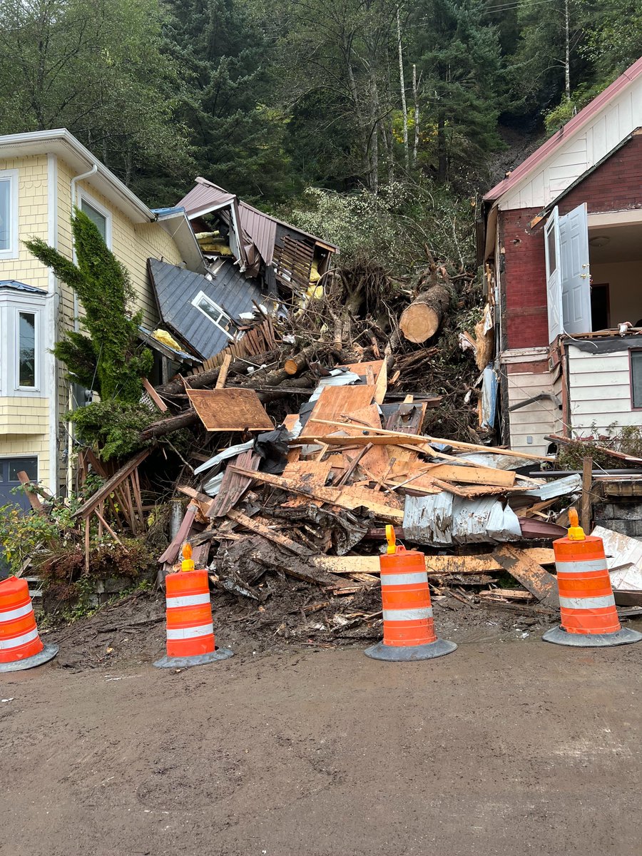 Lois Parshley tweet media