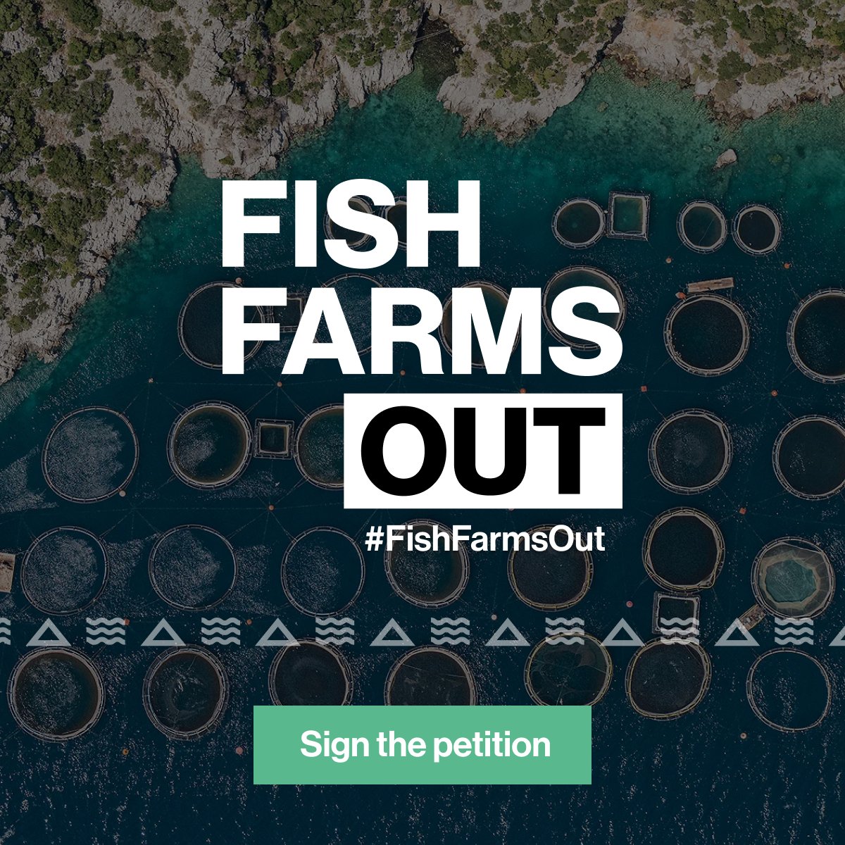 Bold Studio tweet media