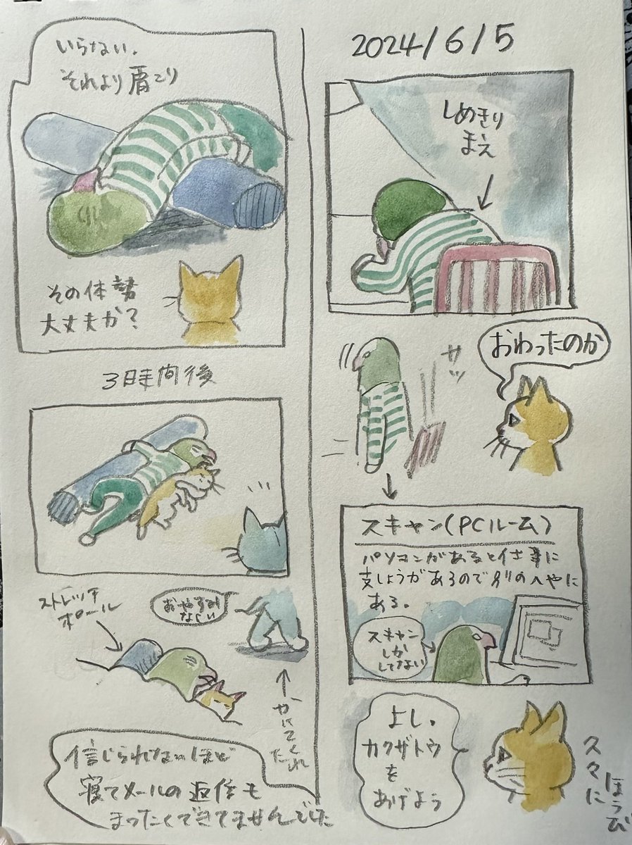 ボリス絵日記 かたこり 2024/6/5