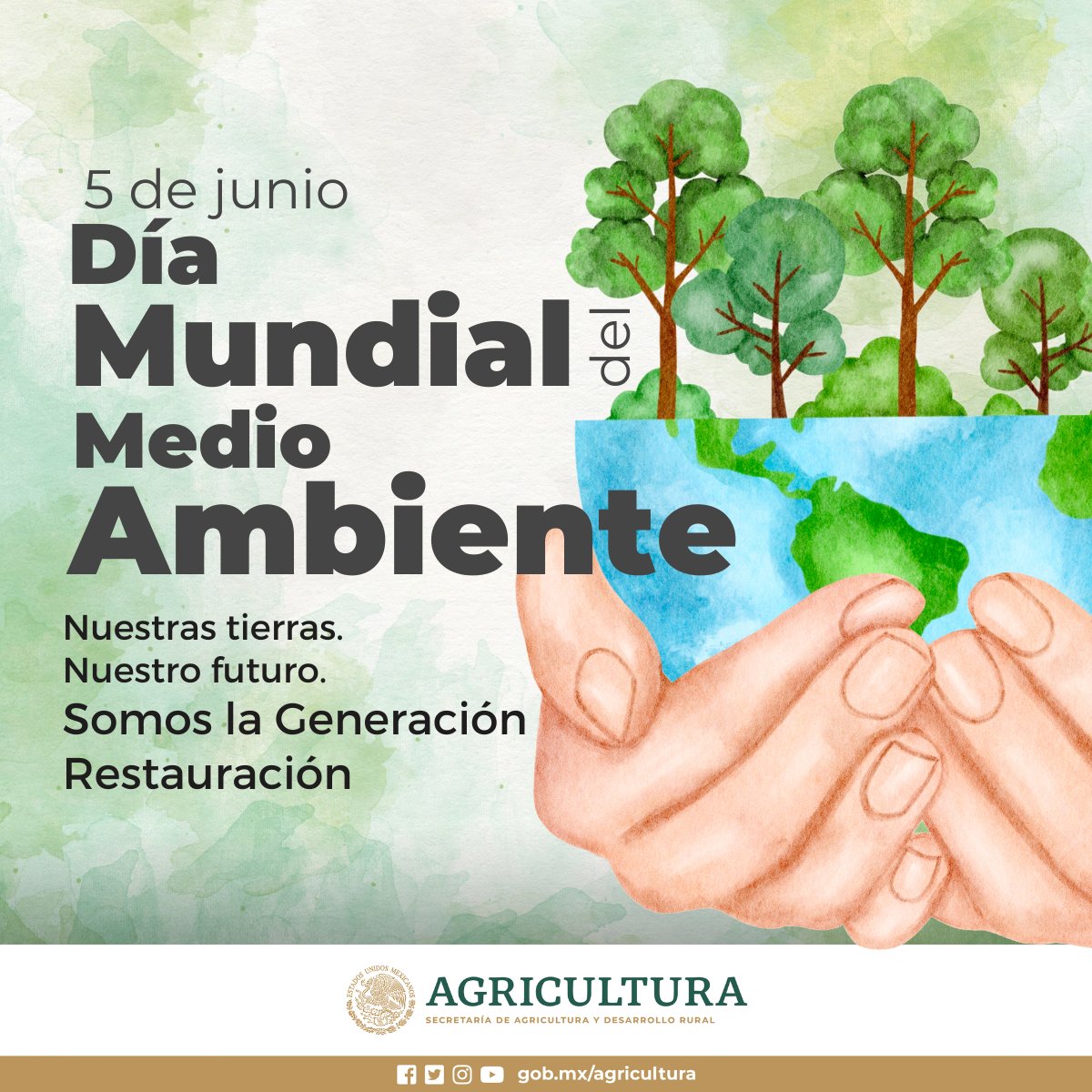 Hoy es el Día Mundial del Medio Ambiente, destinado a sensibilizar y fomentar acciones para proteger nuestro entorno natural. 

Aborda la crisis climática, pérdida de biodiversidad y contaminación, promoviendo un futuro sostenible.

¡Cuidemos nuestra Tierra! 🌳