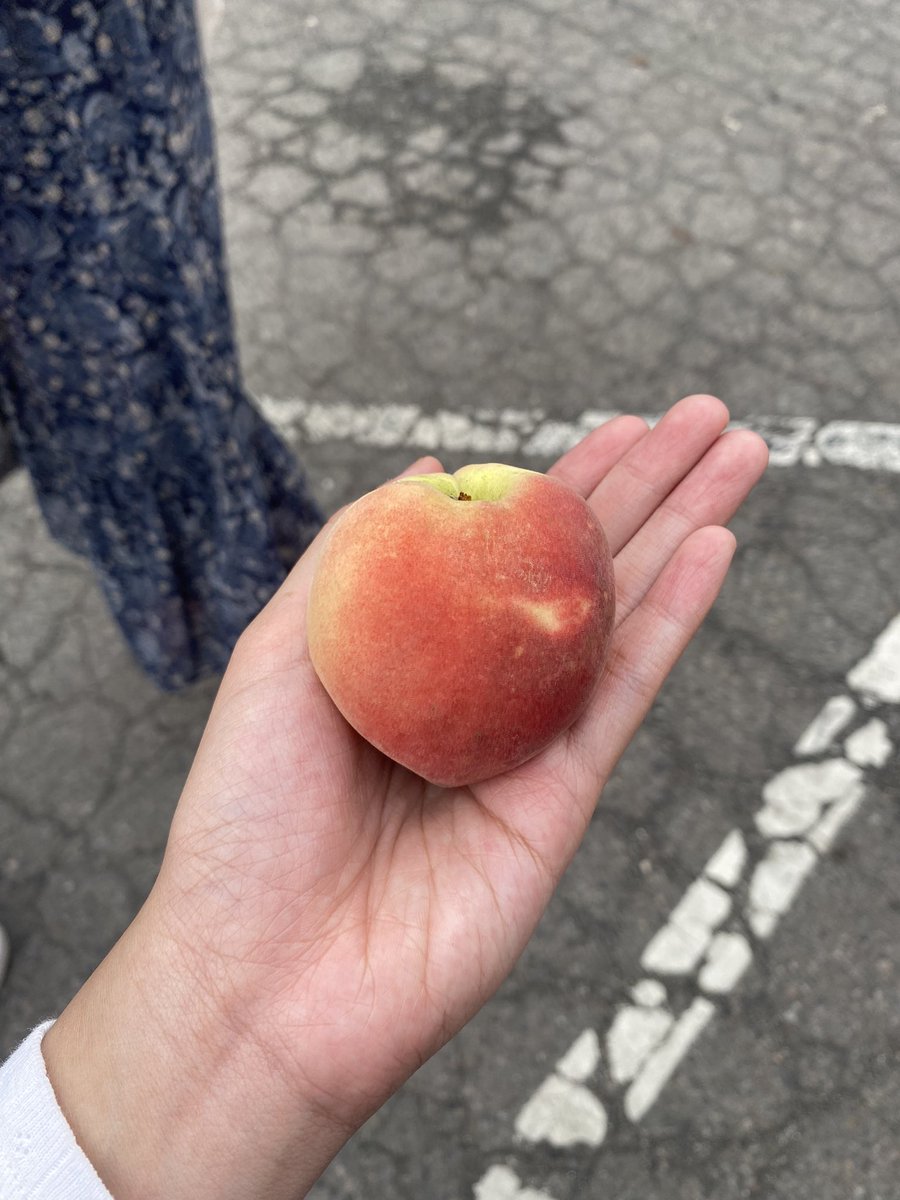 fruitdotcom tweet picture