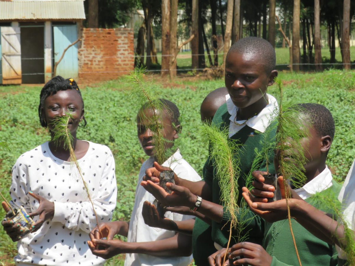 EcoaceOrg's tweet photo. What a day it was. Bituyu Primary FYM Kimilili. Environmental conservation and restoration together with the pupils 

#WorldEnvironmentDay https://t.co/ZkFxiIvGTO