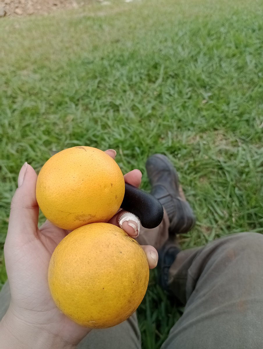 e no campo é assim que a gente descansa depois de trabalhar