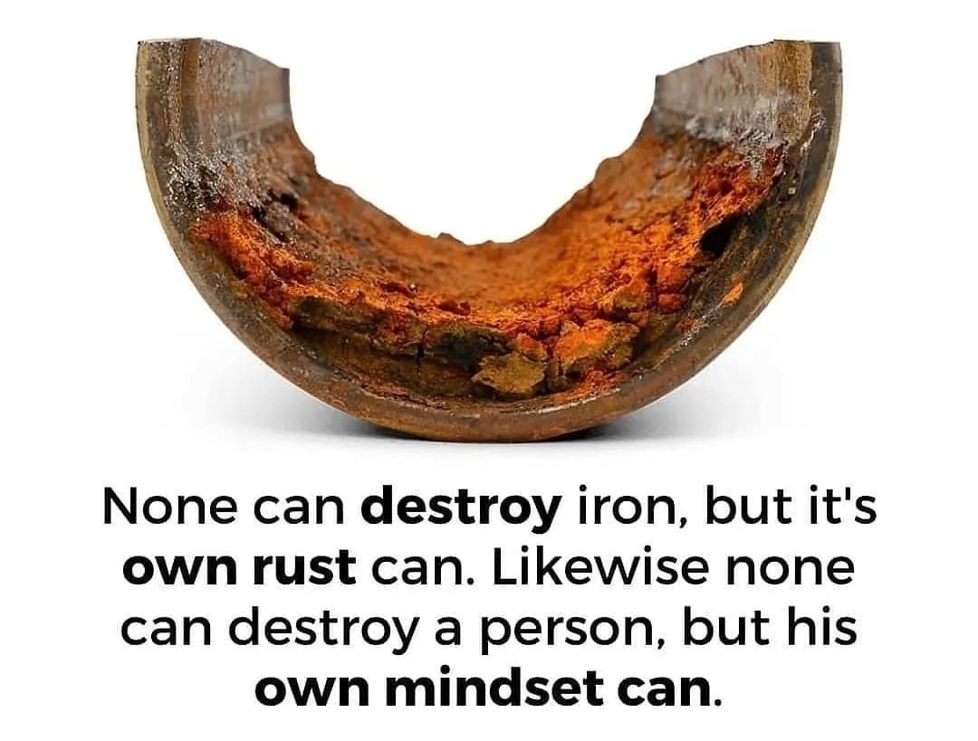 Wealthnationx's tweet photo. Lesson for you: https://t.co/YBBUvcKT4i