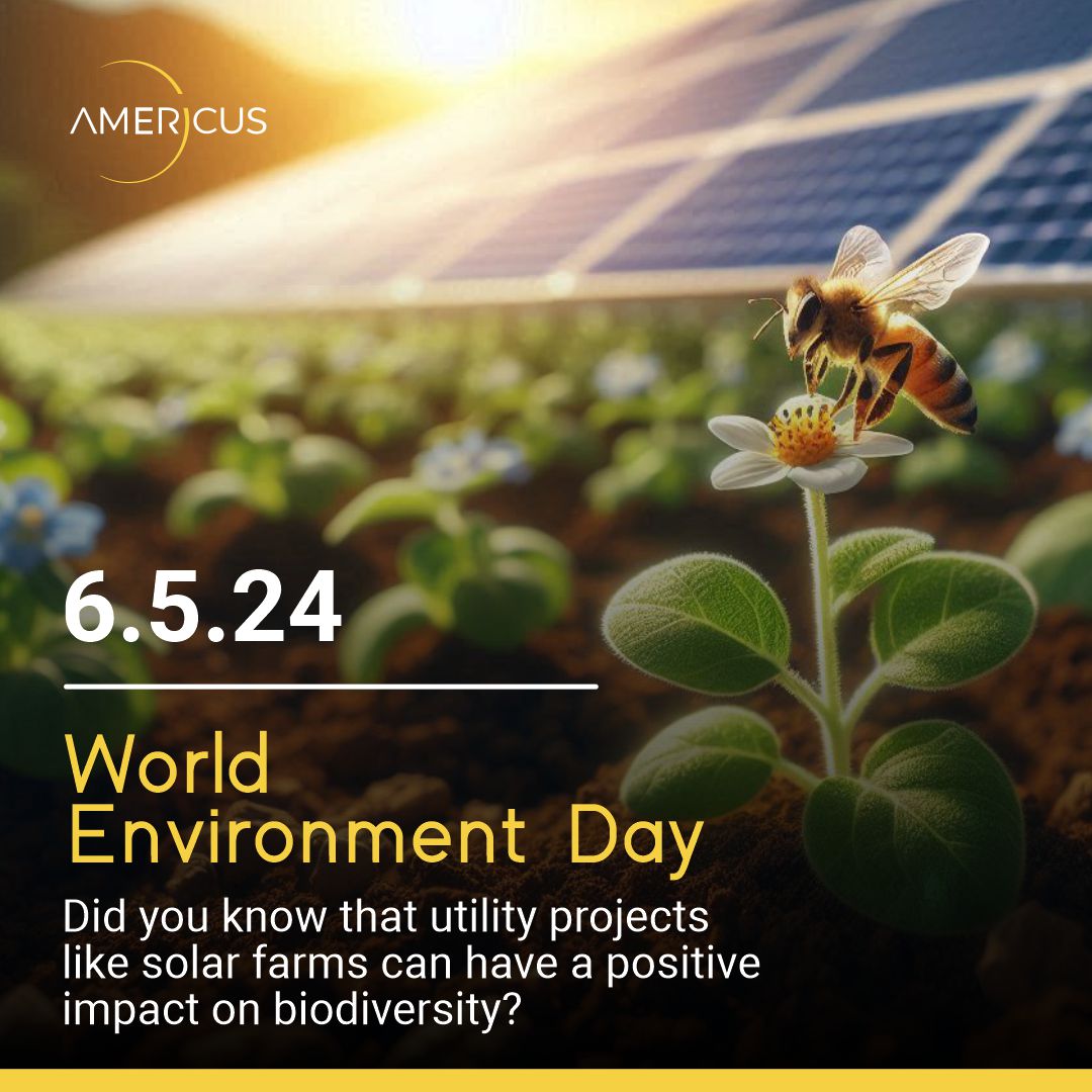 AmericusEnergy's tweet photo. This #WorldEnvironmentDay, we’re celebrating solar energy’s contribution to biodiversity!
Did you know that solar farms play an essential role in supporting biodiversity?
Learn more in the link below:
https://t.co/NArjgjnIcd
#solarfarm #biodiversity #farmland https://t.co/8oFlCEBsZ1