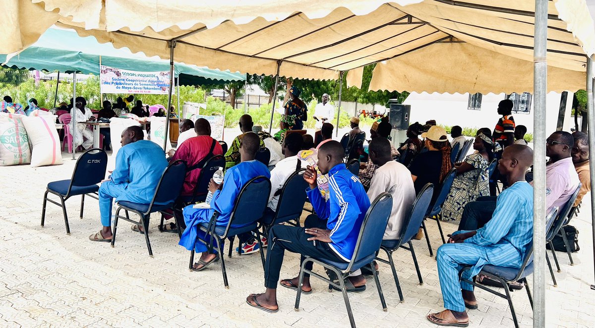 ACF_Cmr's tweet photo. La coopérative PROSATOK en collaboration avec @ACF_Cmr, le MINADER et l’IRAD a organisé hier une foire semencière à #Tokombéré pour promouvoir l'utilisation des semences améliorées et renforcer la résilience des producteurs locaux.#PROREC https://t.co/FX4XexEJiC