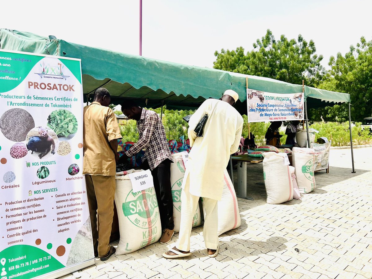 ACF_Cmr's tweet photo. La coopérative PROSATOK en collaboration avec @ACF_Cmr, le MINADER et l’IRAD a organisé hier une foire semencière à #Tokombéré pour promouvoir l'utilisation des semences améliorées et renforcer la résilience des producteurs locaux.#PROREC https://t.co/FX4XexEJiC