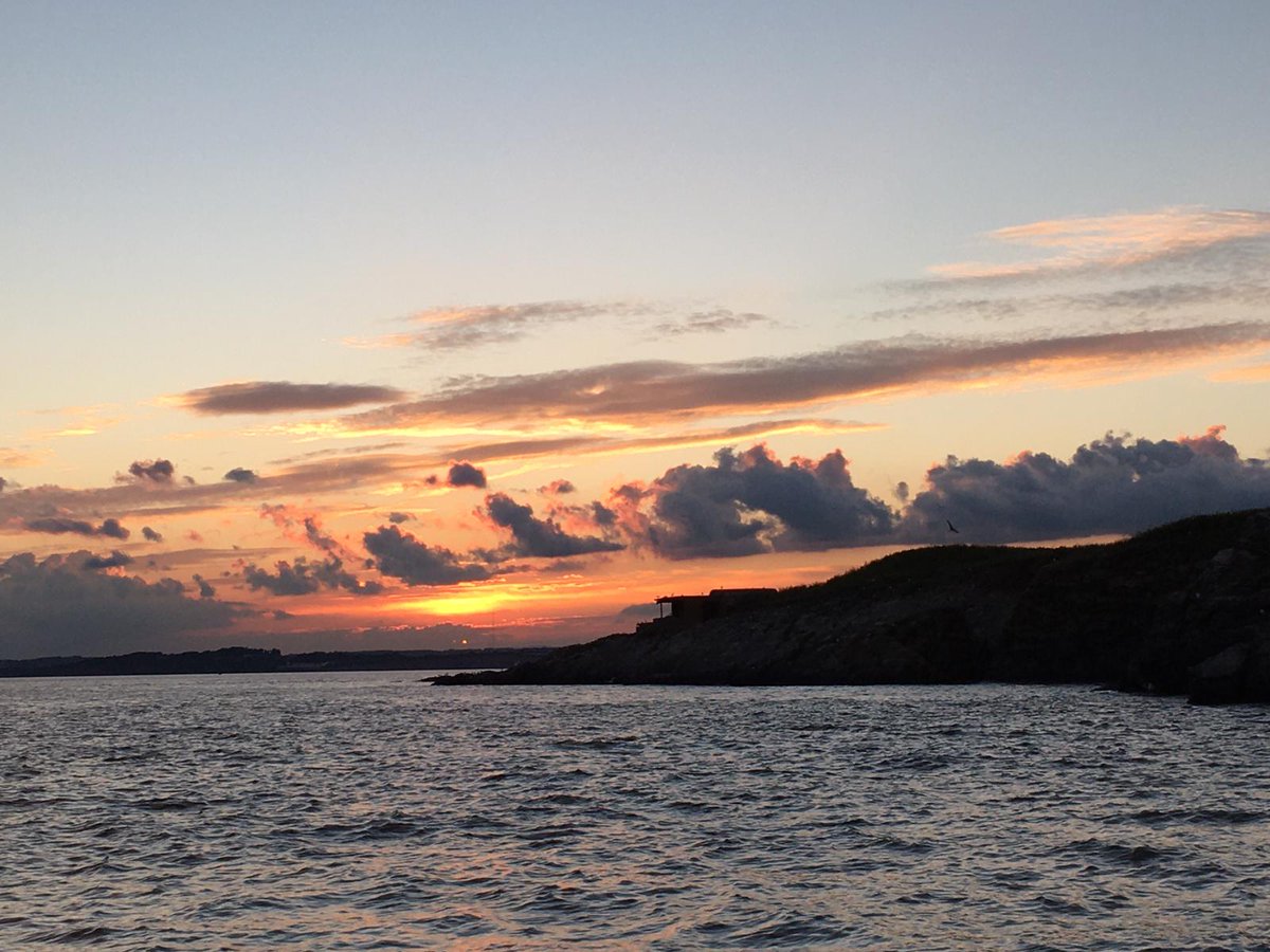 Our website, flatholmisland.com, will be temporarily unavailable on Thursday 6 June due to essential maintenance. Apologies for any inconvenience caused.