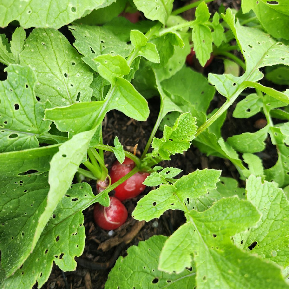 Natasha Arora-Bhalla tweet media