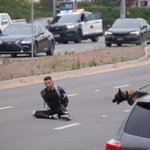 Photo by SD County Scanner (@SDCountyScanner)