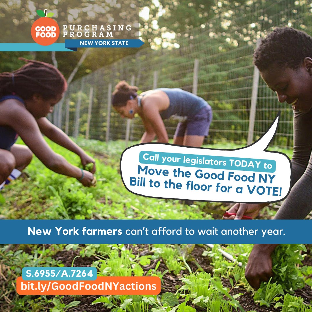 We are approaching the 11th hour on the #GoodFoodNY bill. We need to flood the phone lines to ensure it is brought for a vote—if you have a phone and 3 minutes, **please join us** bit.ly/GoodFoodNYacti…