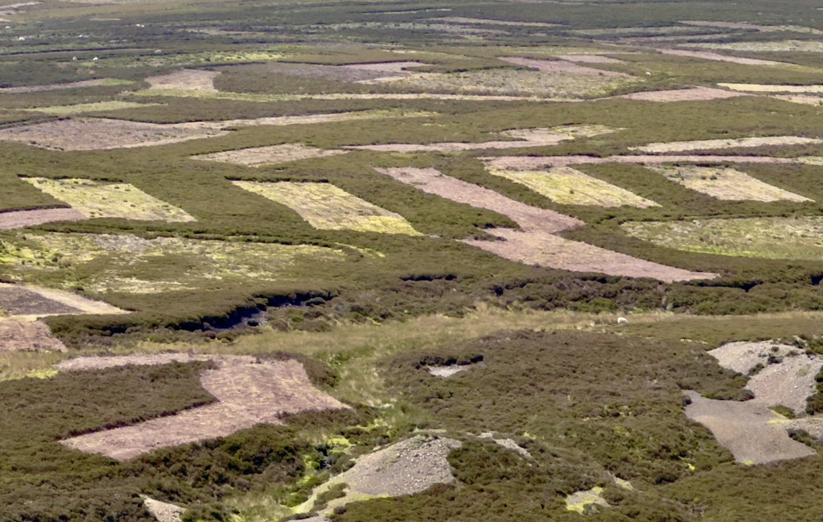 britlandscape's tweet photo. Another day in the @NorthPenninesNL - had to pull myself away from photographing those iconic #teesdale white farmhouses and barns of yesterday. So today one for the Intimate Landscapes Collection - “Moorland Mosaic” https://t.co/iIbXE7pKX4