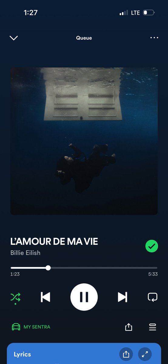 nevaehphillips_'s tweet photo. no speaker made is loud enough. i need this song in my veins @billieeilish https://t.co/QLMe1GhZX7