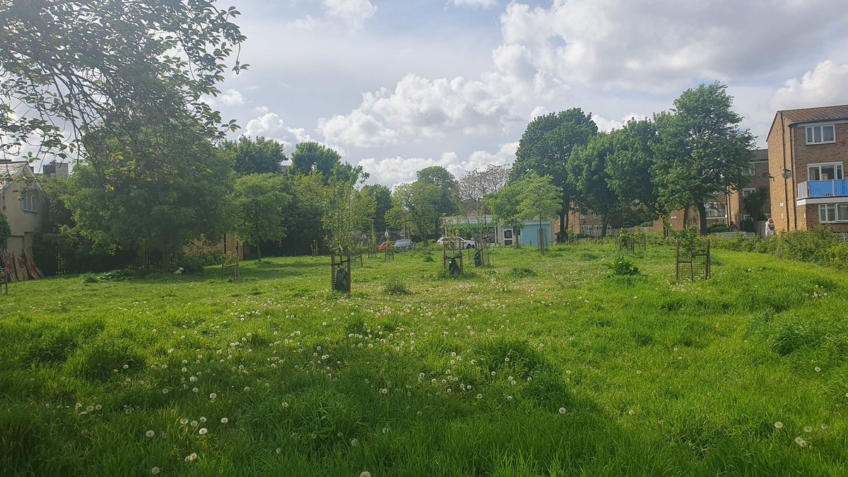 SLBotanicalInst's tweet photo. Join @BermondseyTrees on a tour of some of their projects in South Bermondsey.
Saturday 15th June 2pm-4pm
Book a FREE place: https://t.co/VM2bW0Jhee

#SLBI #treesforbermondsey #urbannature #greenspaceforall #encouragethebees #southwark #streettrees #wildflowers #biodiversity https://t.co/UvTRkphjau