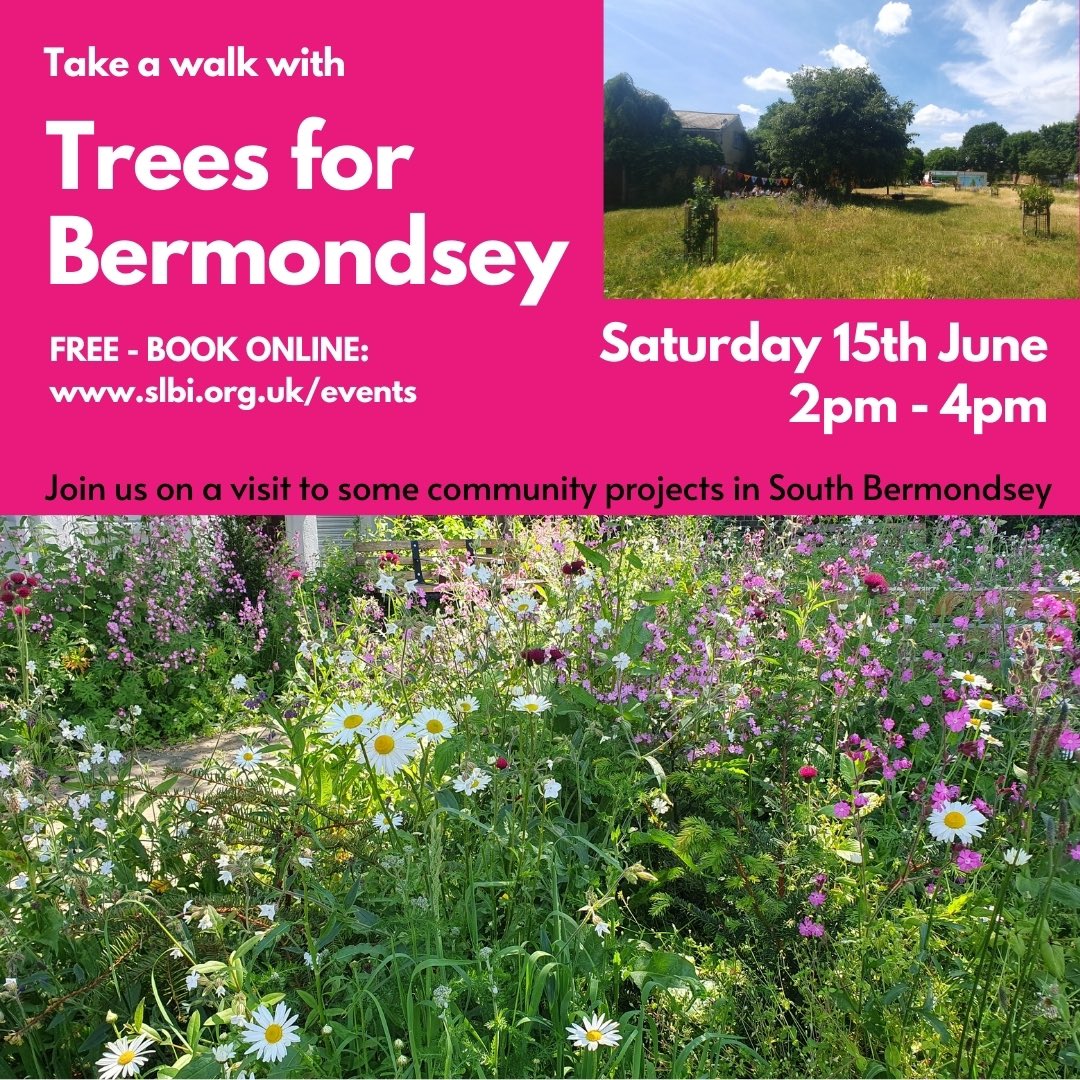 SLBotanicalInst's tweet photo. Join @BermondseyTrees on a tour of some of their projects in South Bermondsey.
Saturday 15th June 2pm-4pm
Book a FREE place: https://t.co/VM2bW0Jhee

#SLBI #treesforbermondsey #urbannature #greenspaceforall #encouragethebees #southwark #streettrees #wildflowers #biodiversity https://t.co/UvTRkphjau