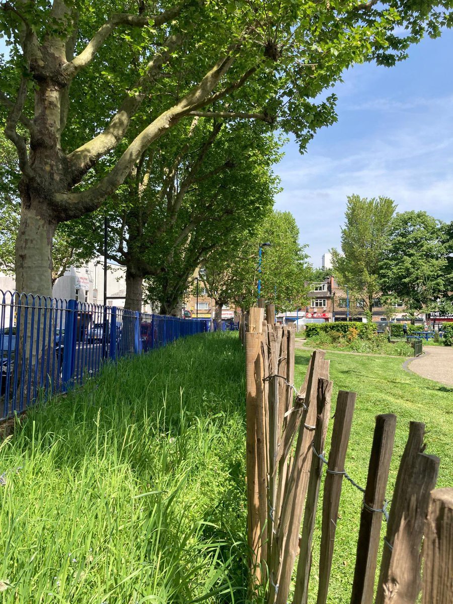 SLBotanicalInst's tweet photo. Join @BermondseyTrees on a tour of some of their projects in South Bermondsey.
Saturday 15th June 2pm-4pm
Book a FREE place: https://t.co/VM2bW0Jhee

#SLBI #treesforbermondsey #urbannature #greenspaceforall #encouragethebees #southwark #streettrees #wildflowers #biodiversity https://t.co/UvTRkphjau
