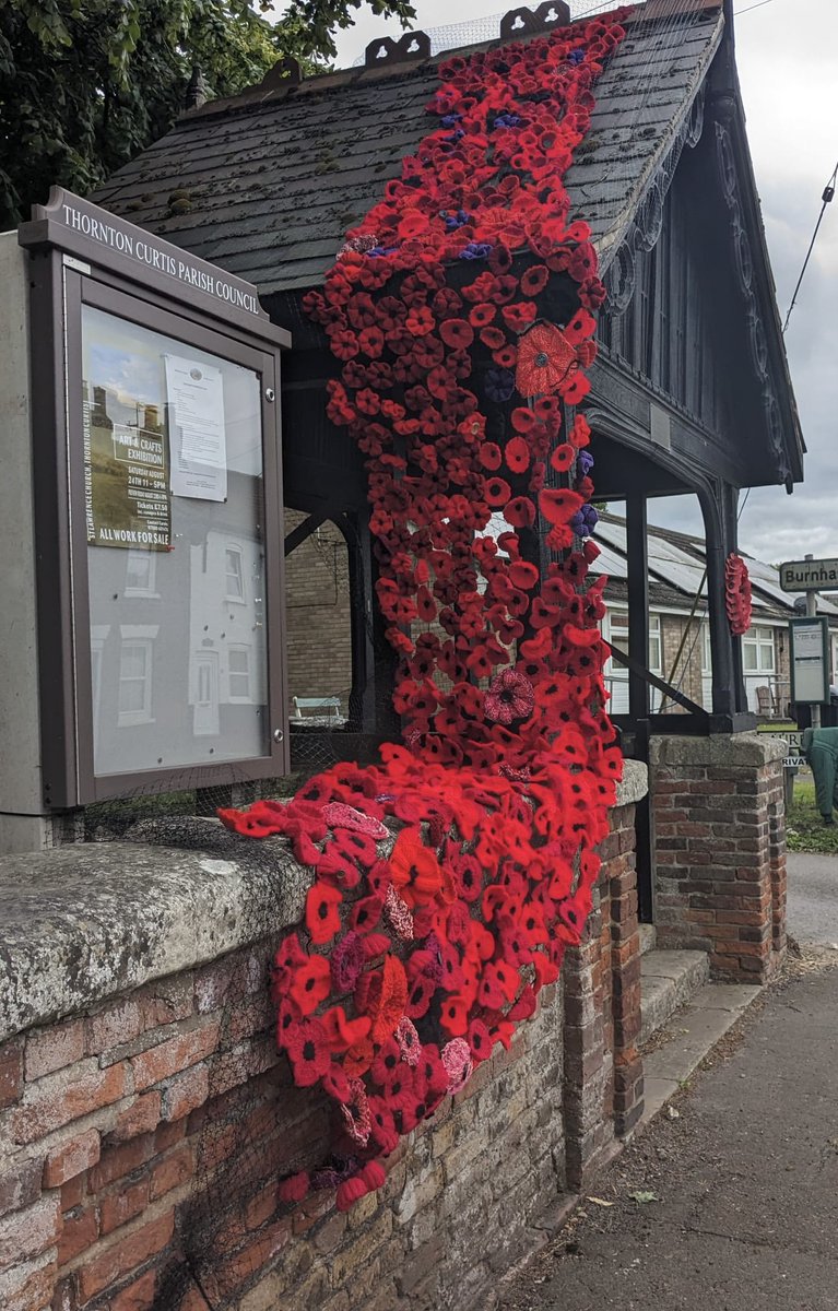 RachelFDavey1's tweet photo. @peter_levy Some wonderful people in our village, Thornton Curtis, spent hours and hours knitting poppies to create this beautiful tribute for D-Day 80 at St. Lawrence’s Church #dday https://t.co/6wjwdcW1Gv