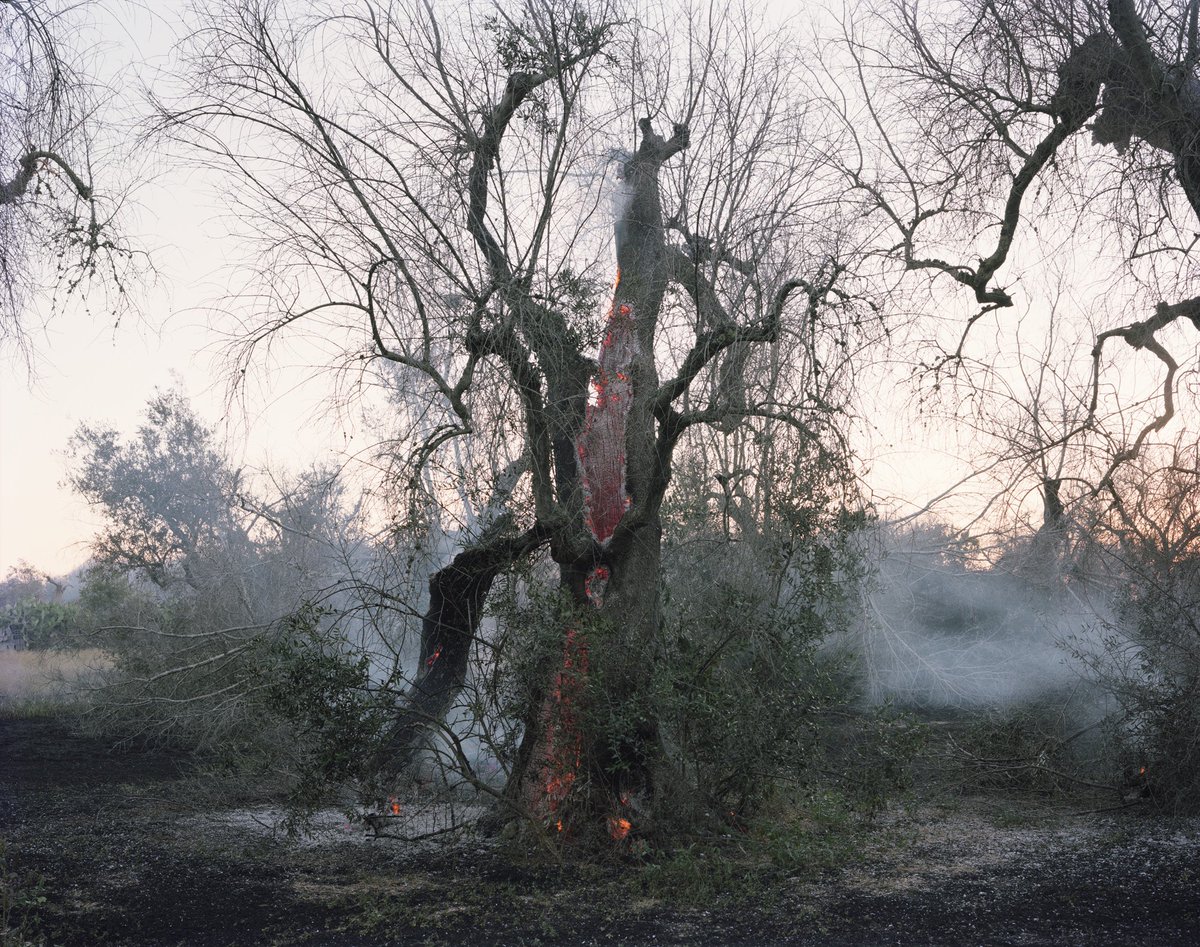 murrayballard's tweet photo. Delighted to have two photographs from ‘Ghosts in the Field’ in this years #summerexhibition @royalacademy - looking forward to seeing them installed. https://t.co/kVH6i87CHV