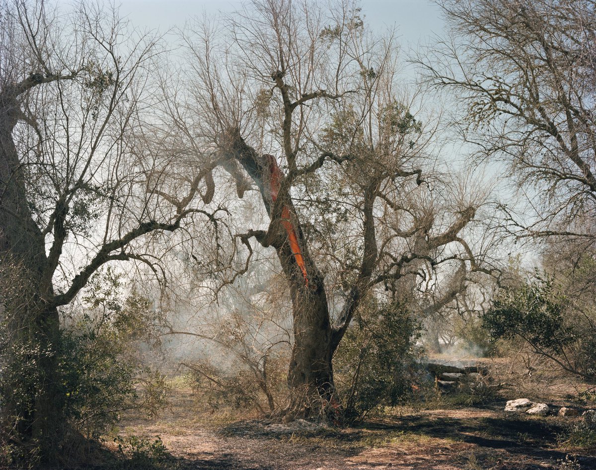 Murray Ballard (@murrayballard) on Twitter photo Delighted to have two photographs from ‘Ghosts in the Field’ in this years #summerexhibition <a href="/royalacademy/">Royal Academy</a> - looking forward to seeing them installed. Delighted to have two photographs from ‘Ghosts in the Field’ in this years #summerexhibition <a href="/royalacademy/">Royal Academy</a> - looking forward to seeing them installed.