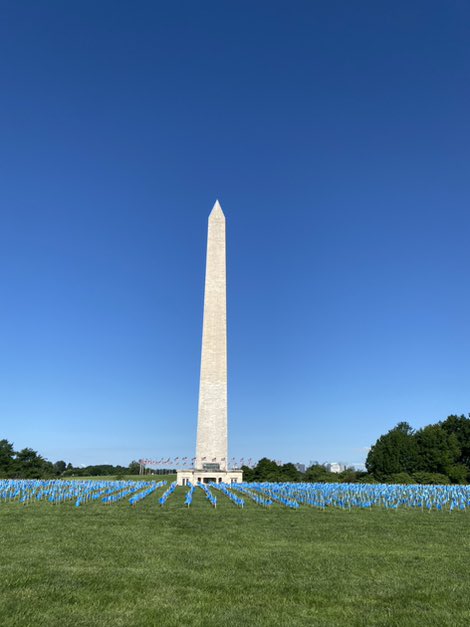 Last week @iamalsorg placed 6000 blue flags at the Washington Monument, each flag representing a person living with ALS or that has passed. Each flag is somebody’s somebody. It’s heartbreakingly beautiful.