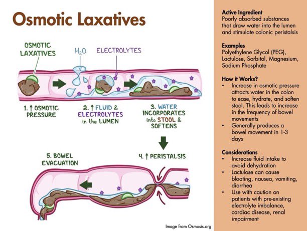 Paul Wischmeyer MD tweet media