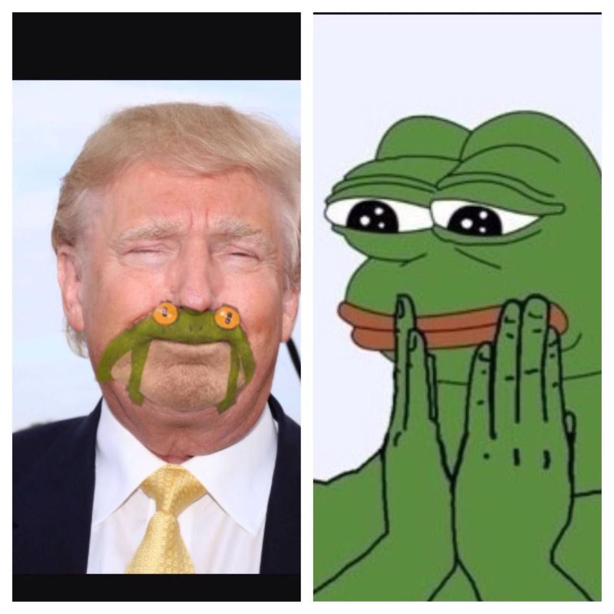 SolanaTrog's tweet photo. @eth_exy Trog on eth 50 million 
First mover on sol 30k 
Math the do. 
Yuge. https://t.co/JfmFxMLJ4W