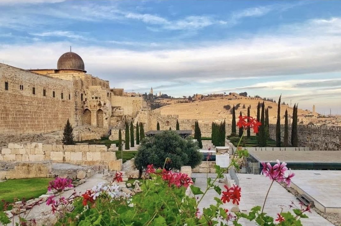 vampl0vrrr's tweet image. the beauty of palestine.