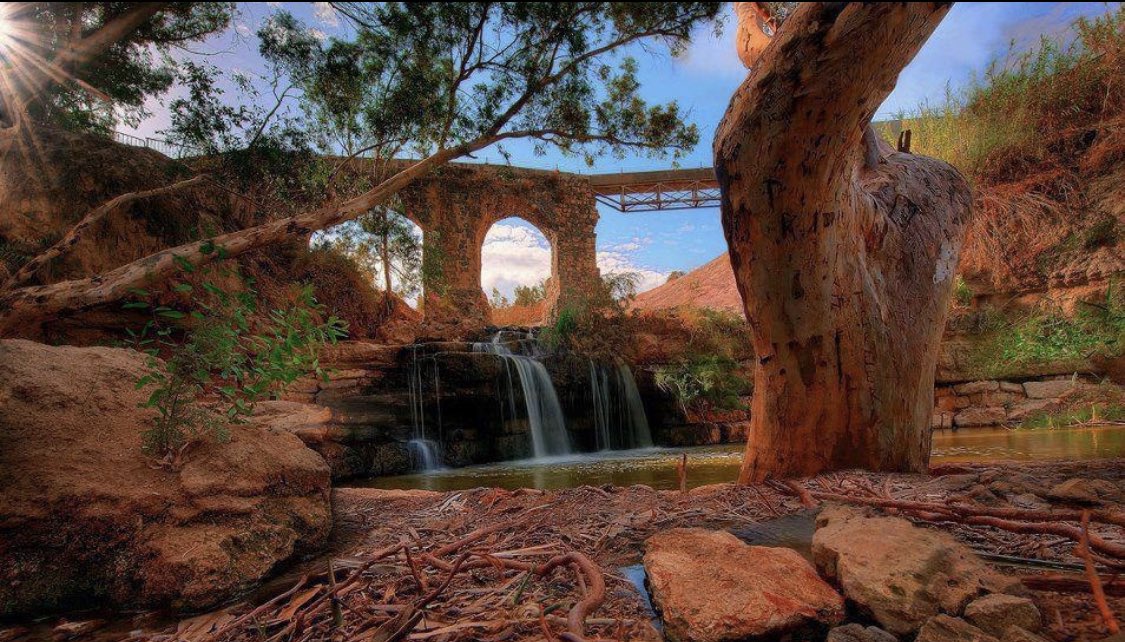 vampl0vrrr's tweet image. the beauty of palestine.