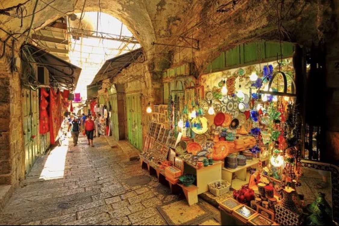 vampl0vrrr's tweet image. the beauty of palestine.