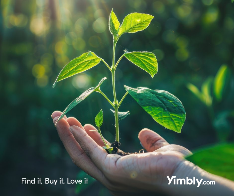 YimblyShop's tweet photo. 🌍 Happy World Environment Day! 🌍

At Yimbly, we'll do our best to have eco product ranges  in an effort to contribute to a greener future! 🌿💧 We're all in this together 💚
#WorldEnvironmentDay#Sustainability #ComingSoon https://t.co/Q5DUDqFexR