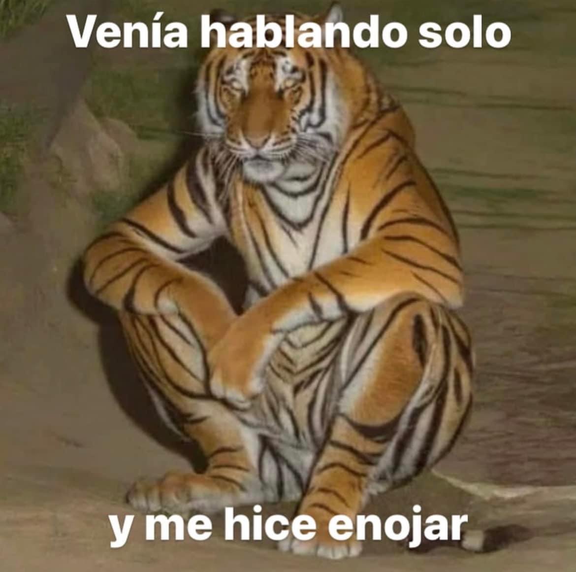 memes feos yo qué sé (@memefeos) on Twitter photo 