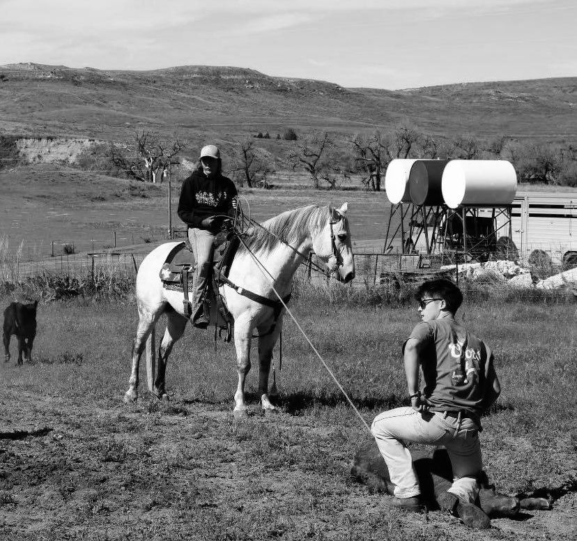 @mymarinafanpage tweet media