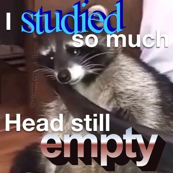 raccoonesthetic's tweet photo. https://t.co/evwgmV4i1P