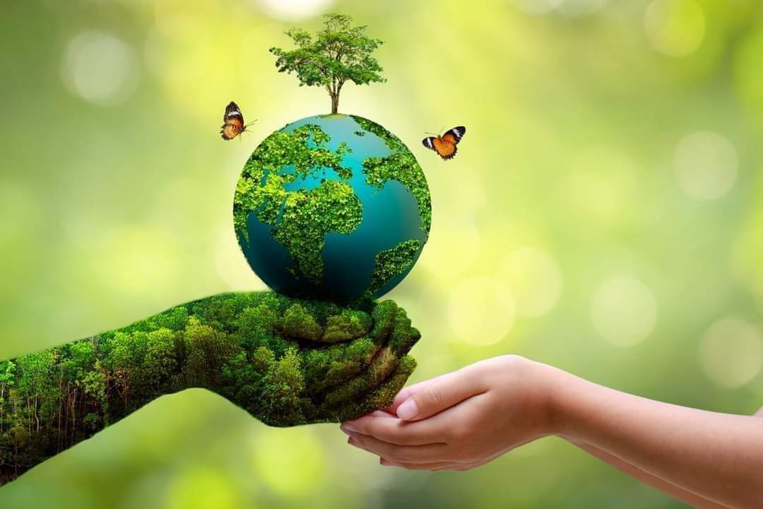 Dr1raj's tweet photo. आज #विश्व_वातावरण_दिवस
Today is #World_Environment_Day
#Theme- "Land Restoration, Desertification and Drought Resilience”‼️
 🌱🐒🌳🐆🐝🐦️🐊🐌
#OnlyOneEarth #planetearth #Recreate #RestoreNature #Dr1 #ClimateAndHealth #UN #SDGs #MoFaE 🇳🇵 https://t.co/nLKUdZQg7p