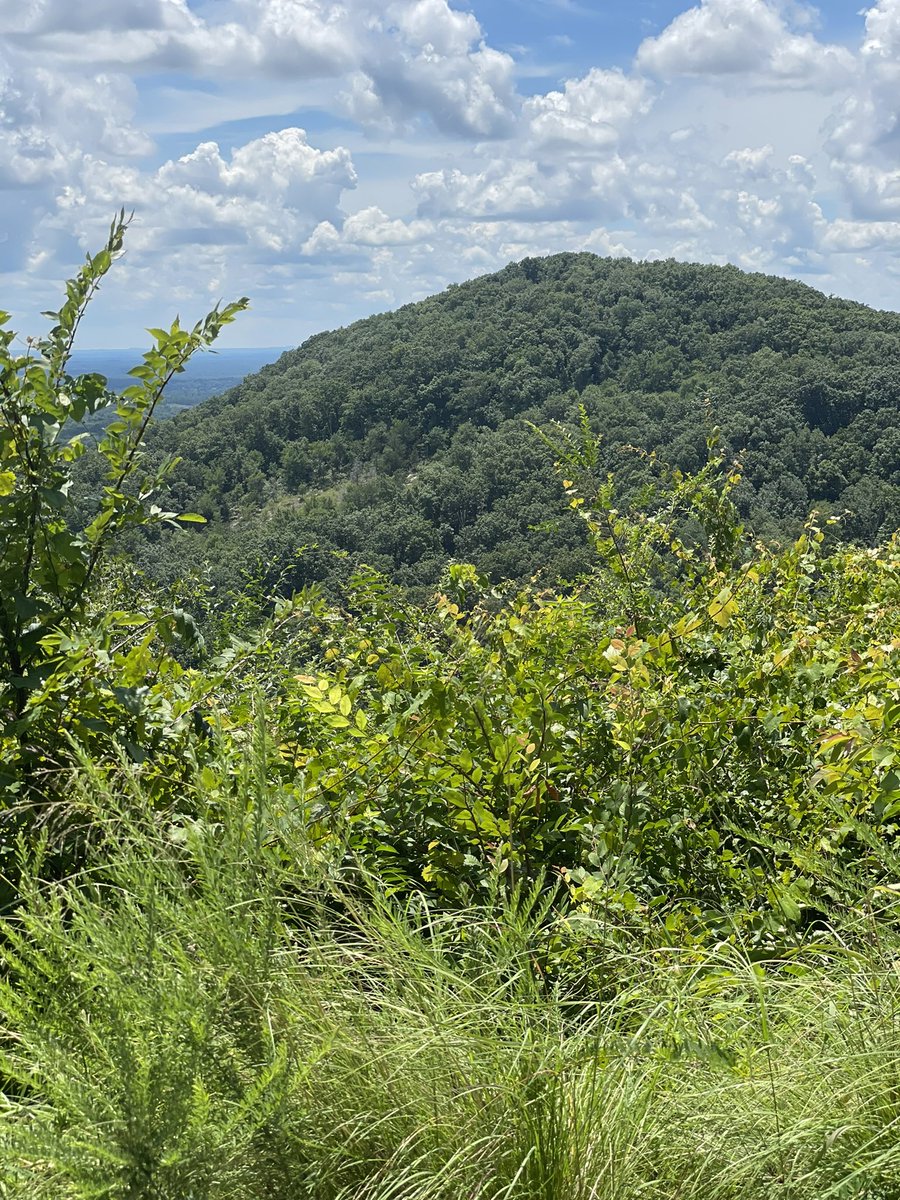 SCEnvironmental's tweet photo. Happy World Environment Day! #recycle #ReduceReuseRecycle https://t.co/kQgCTHu3hd