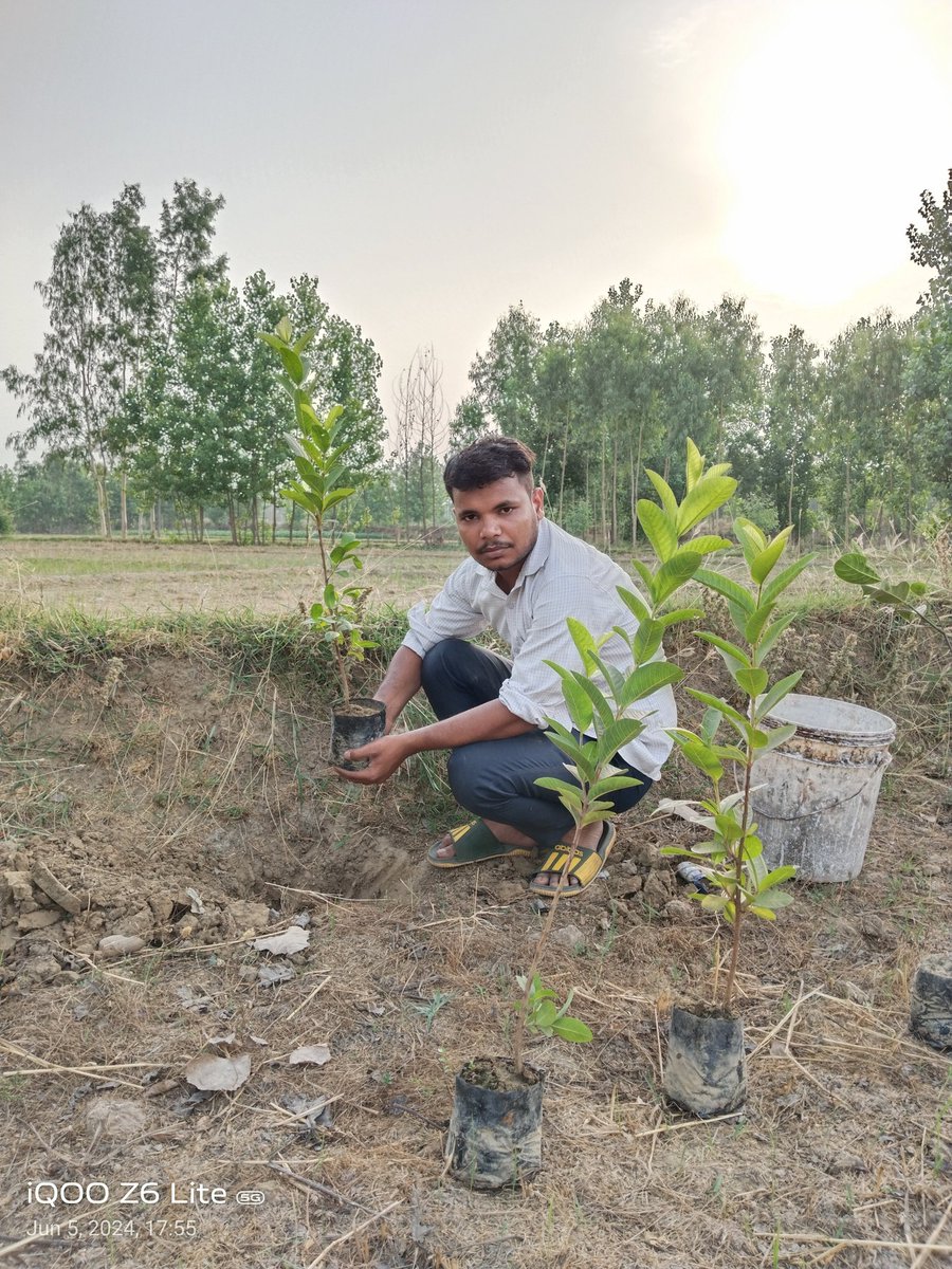 विश्व पर्यावरण दिवस कि हार्दिक शुभकामनाए